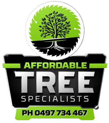 Affordable Trees Specialists Log